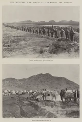 La guerra del Transvaal, scene a Naauwpoort e Arundel